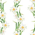 Watercolor narcissus flower seamless pattern. Hand drawn daffodil border illustration on white background. Floral design