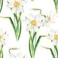 Watercolor narcissus flower seamless pattern. Hand drawn daffodil bouquet illustration isolated on white background