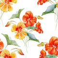 Watercolor nasturtium flower pattern Royalty Free Stock Photo