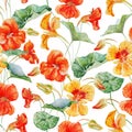 Watercolor nasturtium flower pattern