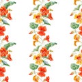 Watercolor nasturtium flower pattern Royalty Free Stock Photo