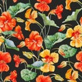 Watercolor nasturtium flower pattern