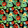 Watercolor nasturtium flowers. Version D. Floral seamless pattern for design.