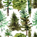 Watercolor natural forest seamless pattern of evegreen trees, birch, oak