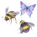 Watercolor natural set of bee and butterfly