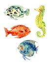 Watercolor natural vintage set of sea fish. Underwater illustration