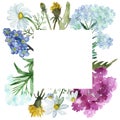 Watercolor nature herbal floral squared frame with blue yarrow and forget-me-not, pink belladonna, yellow dandelion and white cham