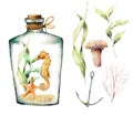 Watercolor nautical set with coral animals, plants, fish and anchor. Hand painted underwater branches, starfish, bottle