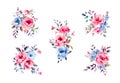 Watercolor navy blue and pink flowers set, vintage vector flowers collection. Royalty Free Stock Photo