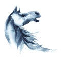 Watercolor neighing horse. Royalty Free Stock Photo