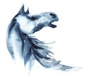 Watercolor neighing horse on white. Royalty Free Stock Photo