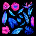 Watercolor neon tropical leaves and flowers. Banana, Monstera, Plumeria, Protea, Heliconia, Hibiscus on a white Royalty Free Stock Photo