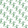 Watercolor nettle herbs. seamless pattern