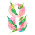 Watercolor number 8, floral style, peony stylization, isolated character eight on white