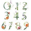 Watercolor numbers set of wild flowers. Hand painted floral symbols isolated on white background. Holiday Illustration