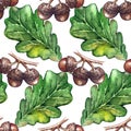 Watercolor oak green leaf acorn seed seamless pattern background texture Royalty Free Stock Photo