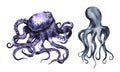 Watercolor Octopus collection isolated on white background. Cute cartoon underwater animals illustration.