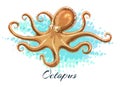 Watercolor octopus illustration