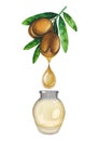 Watercolor oil drop dripping from the argan plant into the small glass bottle Royalty Free Stock Photo