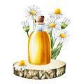 Watercolor oil glass bottle with cork cap on a wooden saw with chamomile cut isolated on white background. Beauty