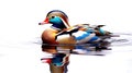 Watercolor Oil Painting of An Evocative Depicts Vibrant Mandarin Duck Water Bird Background Royalty Free Stock Photo