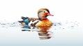 Watercolor Oil Painting of An Evocative Depicts Vibrant Mandarin Duck Water Bird Background Royalty Free Stock Photo