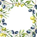 Watercolor olive branch background. Royalty Free Stock Photo