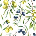 Watercolor olive branch background. Royalty Free Stock Photo