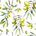 Watercolor olive branch background. Royalty Free Stock Photo