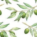 Watercolor olive branch seamless pattern Royalty Free Stock Photo