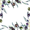 Watercolor olive branch wreath. Hand drawn natural frame. Royalty Free Stock Photo