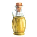 Watercolor olive oil in glass bottle, carafe with cork. Cooking food sauce. Hand drawn illustration