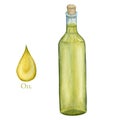 Watercolor olive oil Glass bottle and drop isolated on a white background. Green olives premium virgin oil illustration Royalty Free Stock Photo