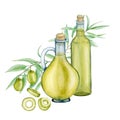 Watercolor olive oil Glass bottle and olives branch logo composuition isolated on a white background. Green olives Royalty Free Stock Photo