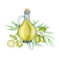 Watercolor olive oil Glass bottle and olives branch logo composuition isolated on a white background. Green olives Royalty Free Stock Photo