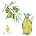 Watercolor olive oil Glass bottle, olives branch and oil drop isolated on a white background. Green olives premium