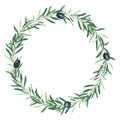 Watercolor olive tree wreath with black olives. Isolated on white background. Hand drawn botanical illustration. Can be Royalty Free Stock Photo