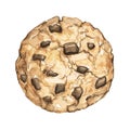 Watercolor one chocolate chip cookie