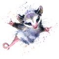 Watercolor Opossum Illustration. Cute Fashion Tee Shirt Design.
