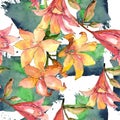 Watercolor orange amaryllis. Floral botanical flower. Seamless background pattern. Royalty Free Stock Photo