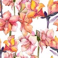 Watercolor orange amaryllis flower. Seamless background pattern. Royalty Free Stock Photo