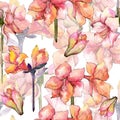 Watercolor orange amaryllis flower. Seamless background pattern. Royalty Free Stock Photo