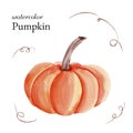 Watercolor orange autumn pumpkin and curl twigs Royalty Free Stock Photo