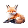 Watercolor orange cute fox. Wildlife fox isolated