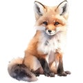 Watercolor orange cute fox. Wildlife fox isolated