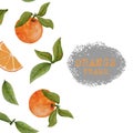 Watercolor orange fruit background. Orange with grapefruit leaves and slice. Gentle summer background for menus, flyers