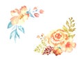 Watercolor orange gentle compositions of flowers hand drawn on white background