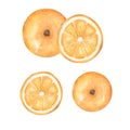 Watercolor orange illustration set, hand drawn tangerine fruit clipart. Organic healthy food Royalty Free Stock Photo