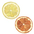 Watercolor orange and lemon set. Hand painted citrus food illustration isolated on white background. Botanical Royalty Free Stock Photo