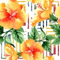 Watercolor orange naranja hibiscus flowers. Floral botanical flower. Seamless background pattern. Royalty Free Stock Photo